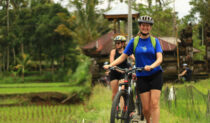 Bali Kintamani Cycling