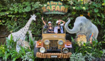 Bali Safari Marine Park