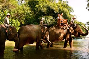 Bali Zoo