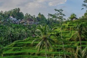 Bali ATV Quad Bike And Kintamani Volcano Tour 4