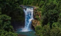 Bali ATV Quad Bike And Ubud Tour