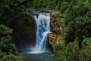 Bali ATV Quad Bike And Ubud Tour