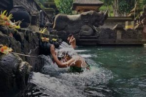 Ubud Monkey Forest With Bali Swing At Tegalalang Rice Terrace 3