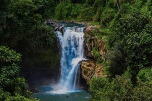 Ubud Monkey Forest With Bali Swing At Tegalalang Rice Terrace 5